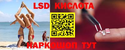 крисы Малгобек