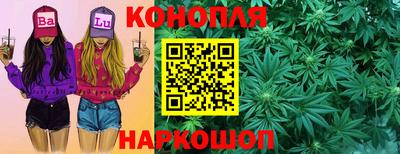 крисы Малгобек