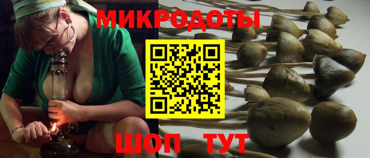 Галлюциногенные грибы Cubensis  Вход с VPN  Калуга 