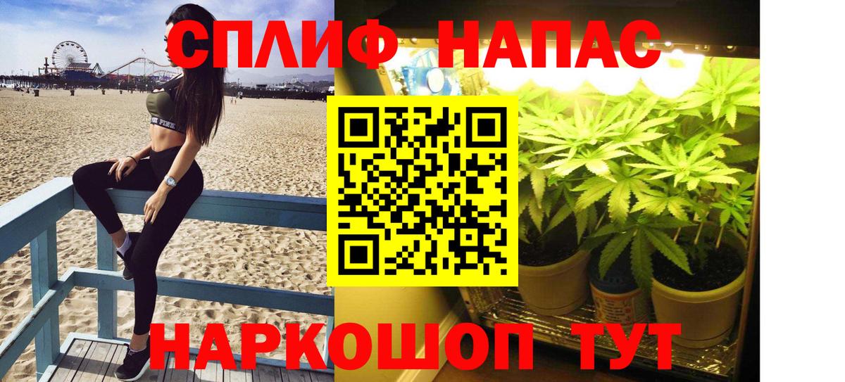 Каннабис сатива Калуга